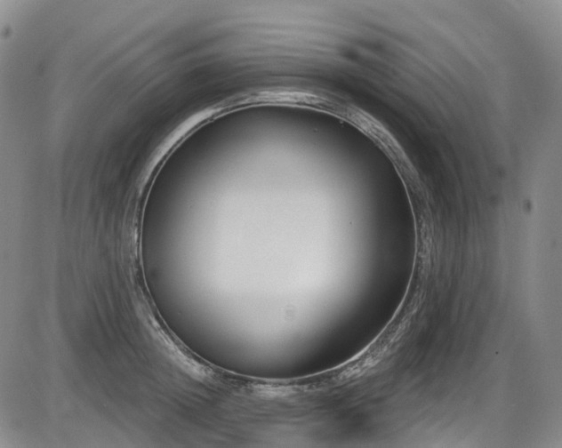 X0000086070852200703301104