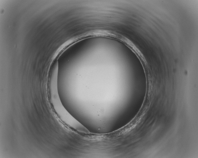 X0000086070853200703301104