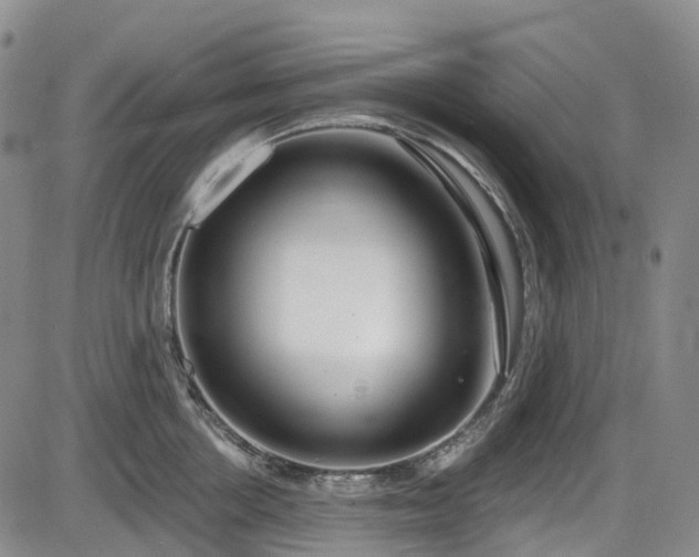 X0000086070858200703301104