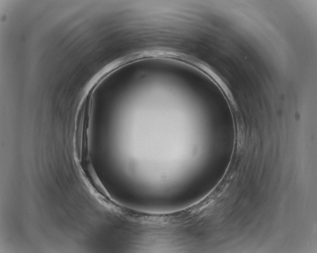 X0000086070861200703301104