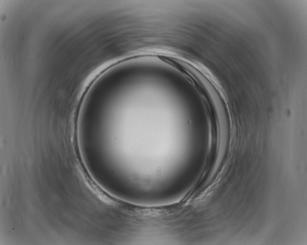 X0000086070862200703301105