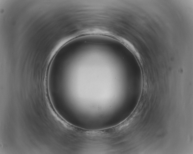 X0000086070863200703301105