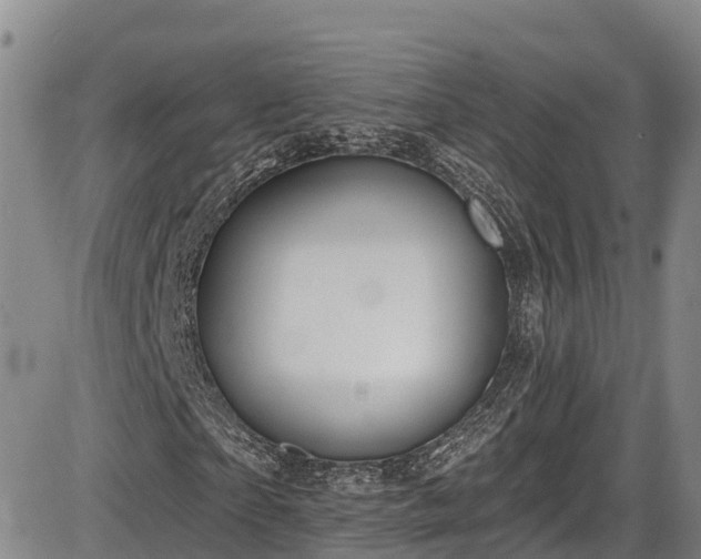X0000086070865200703301104