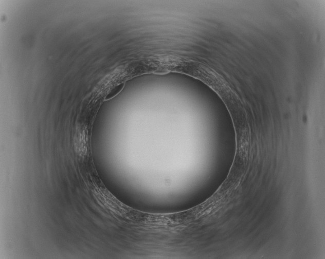 X0000086070866200703301104