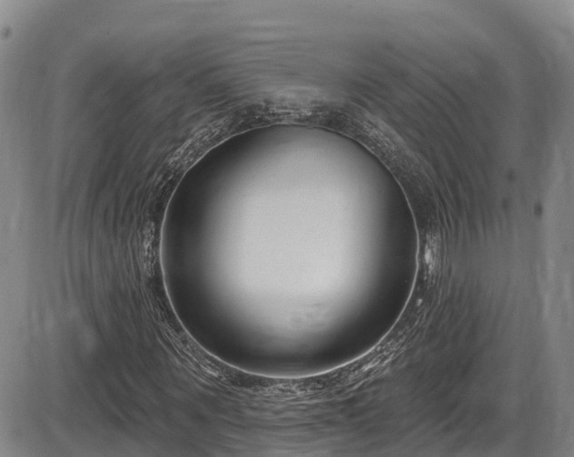 X0000086070867200703301104
