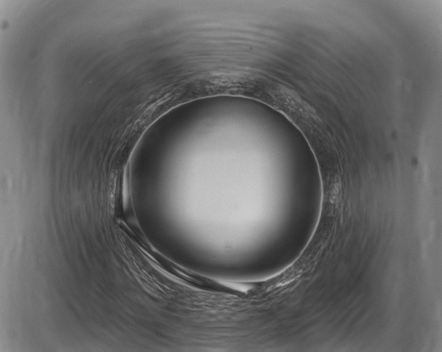 X0000086070868200703301104