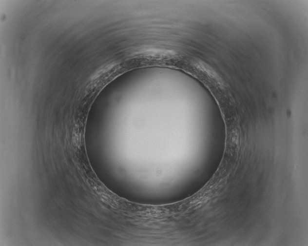 X0000086070869200703301104