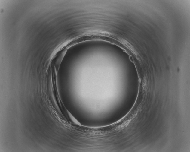 X0000086070877200703301104