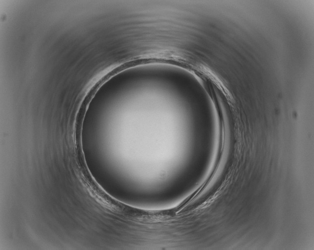 X0000086070884200703301103