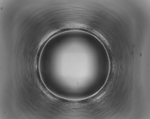 X0000086070885200703301103