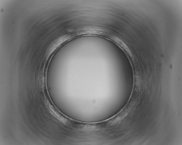 X0000086070890200703301103