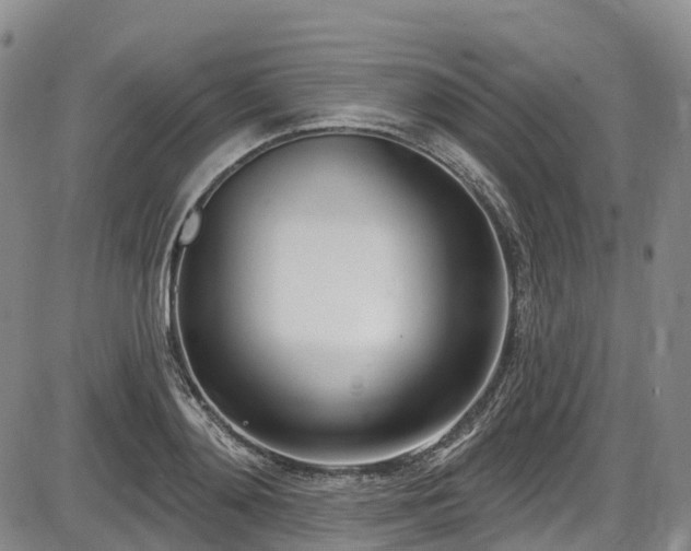 X0000086070892200703301103