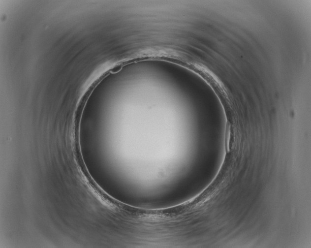 X0000086070894200703301103