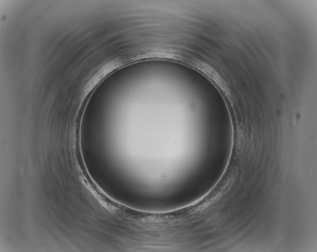 X0000086070898200703301103