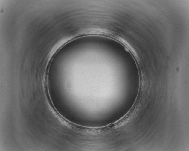 X0000086070901200703301103