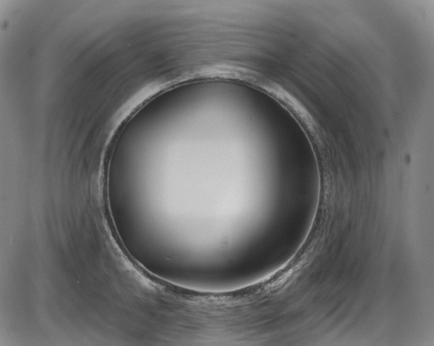 X0000086070902200703301103