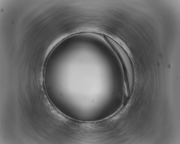X0000086070904200703301103