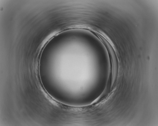 X0000086070909200703301103