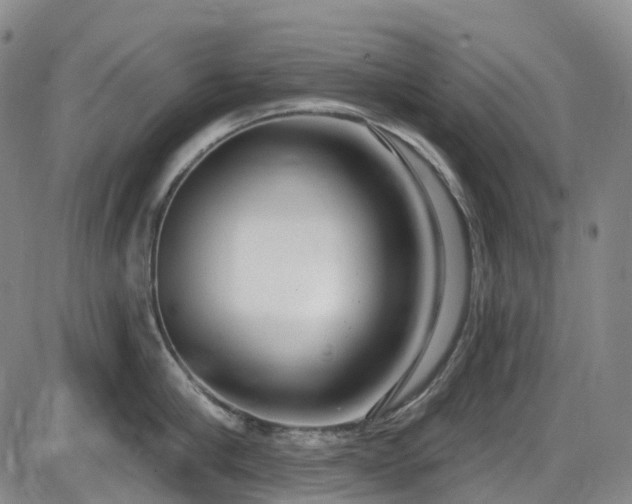 X0000086070910200703301103
