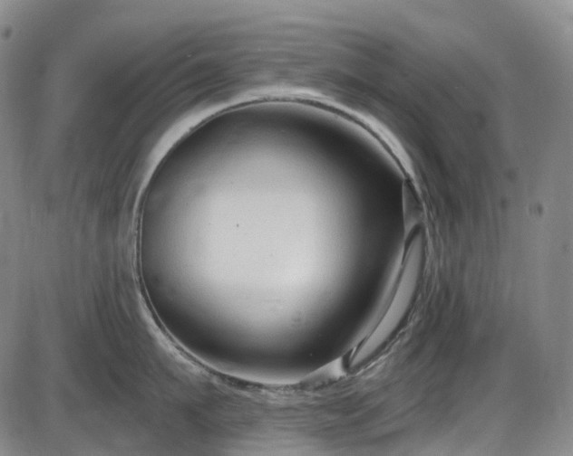 X0000086070911200703301103