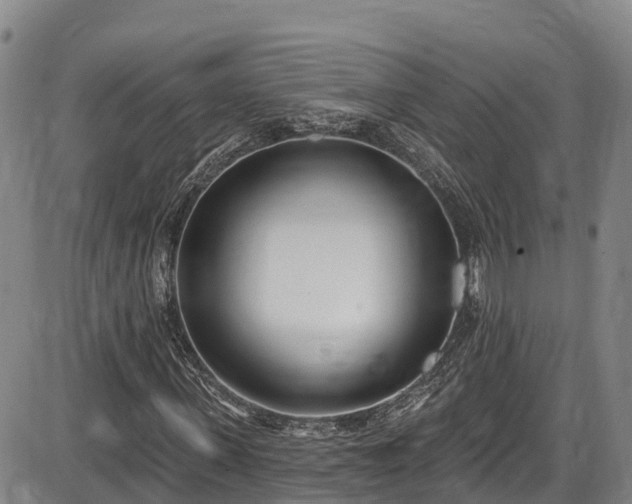 X0000086070915200703301102
