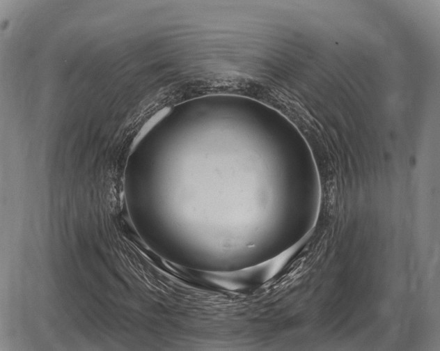 X0000086070916200703301102