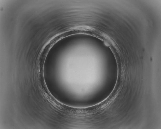 X0000086070923200703301102