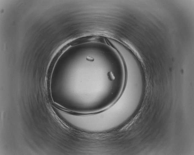 X0000086070932200703301102