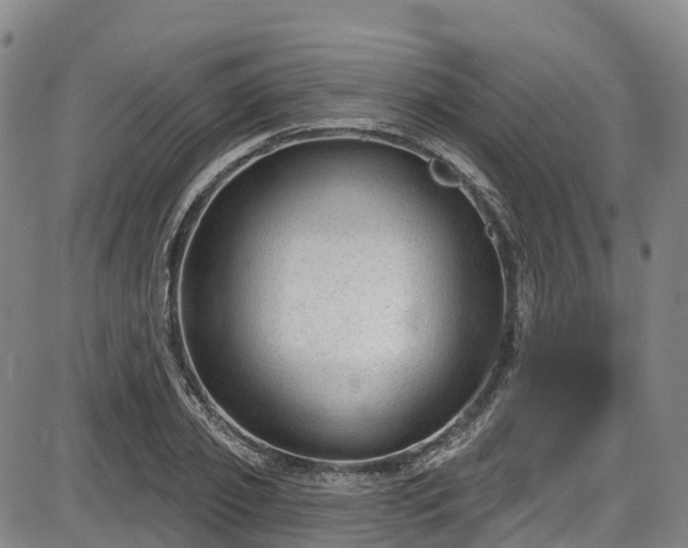 X0000086070933200703301103