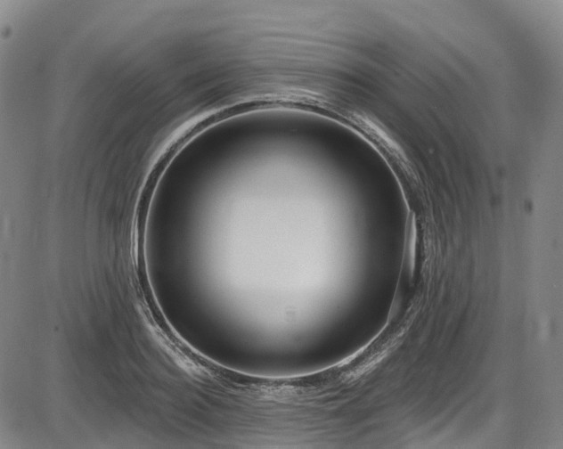 X0000086070940200703301103