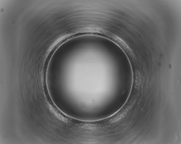 X0000086070942200703301103