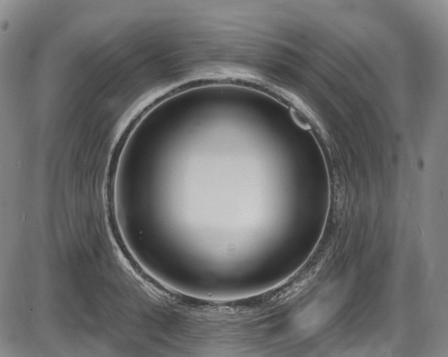 X0000086070943200703301103