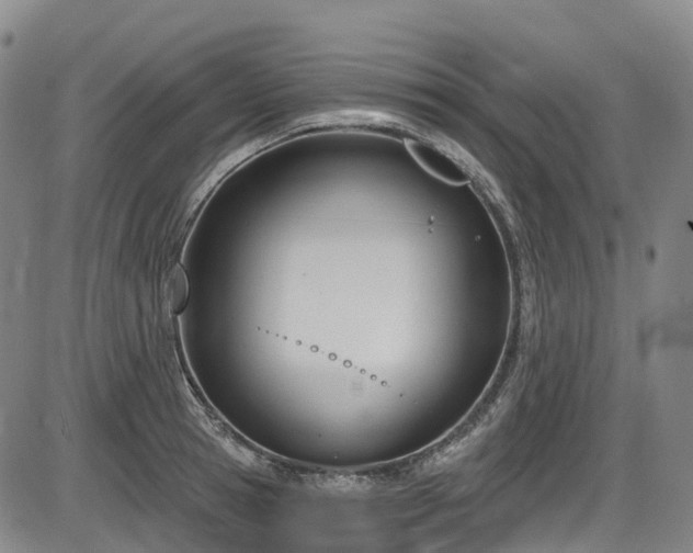 X0000086070945200703301103