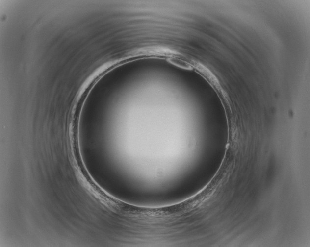 X0000086070947200703301103