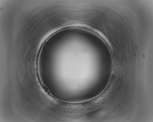 X0000086070951200703301103