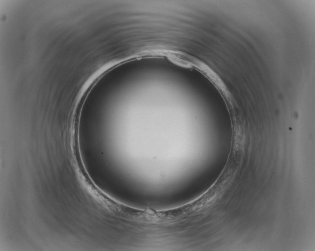 X0000086070955200703301103