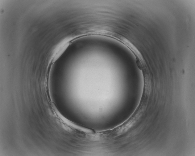X0000086070956200703301103