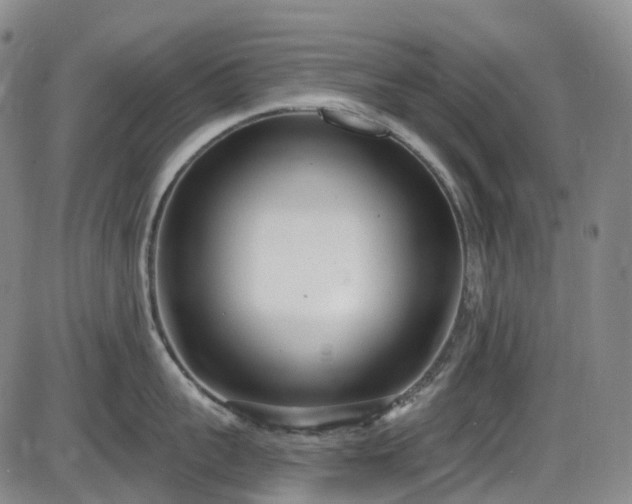 X0000086070959200703301103