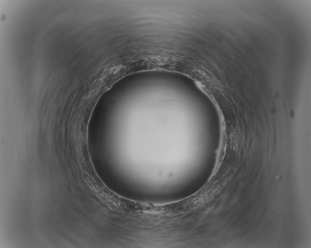 X0000086070961200703301102
