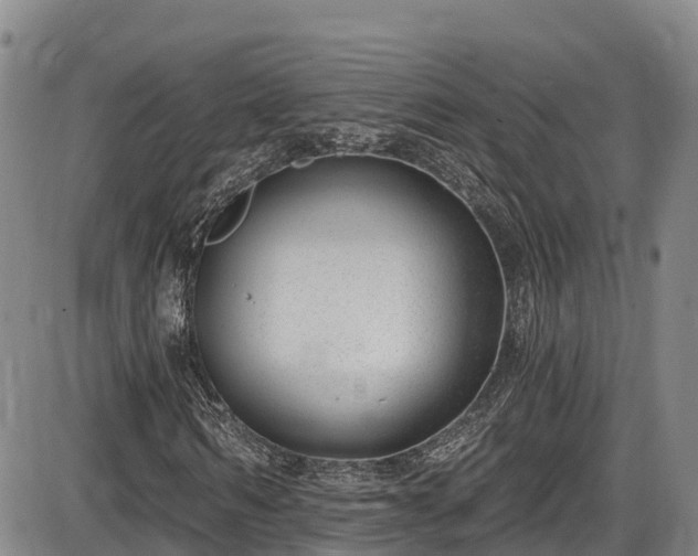 X0000086070962200703301102