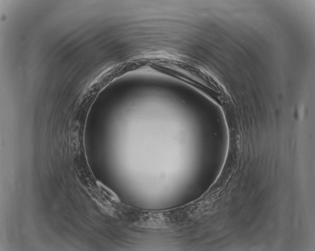 X0000086070968200703301102