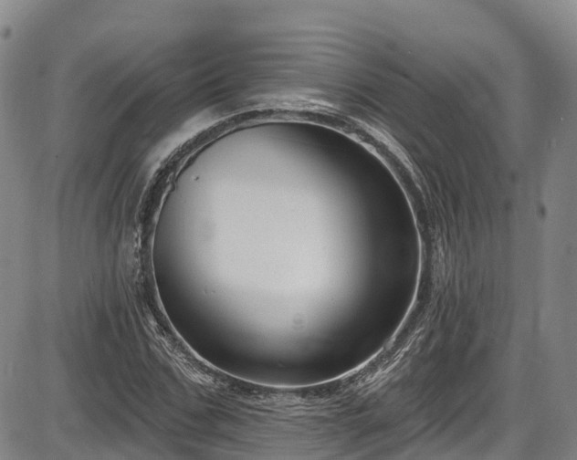 X0000086070971200703301102