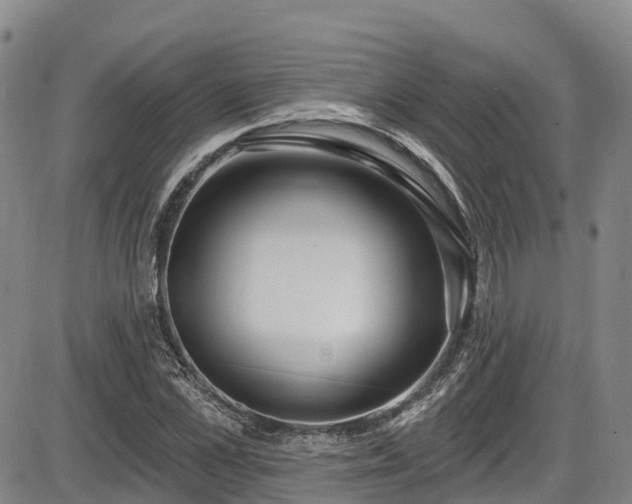 X0000086070973200703301102