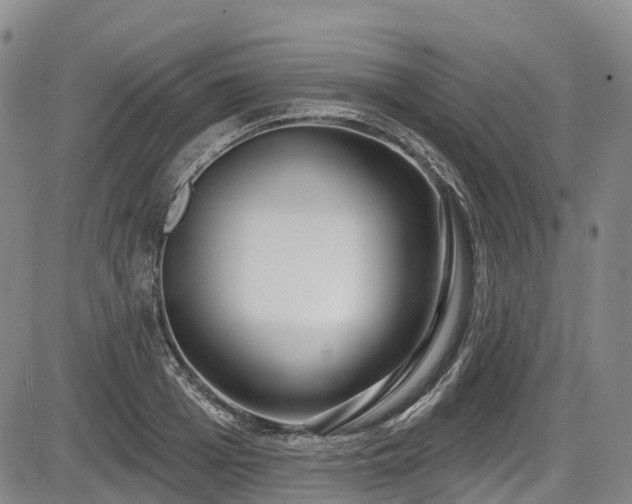 X0000086070985200703301102