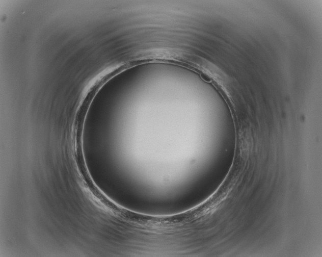 X0000086070987200703301102