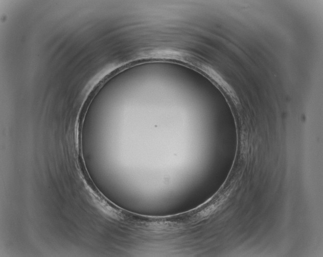 X0000086070988200703301102