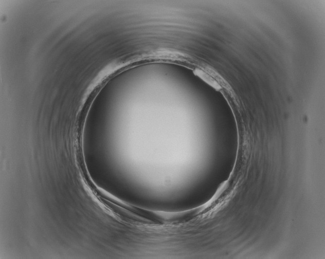 X0000086070989200703301102