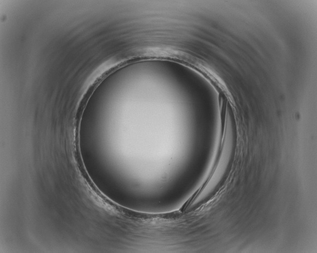 X0000086070992200703301102