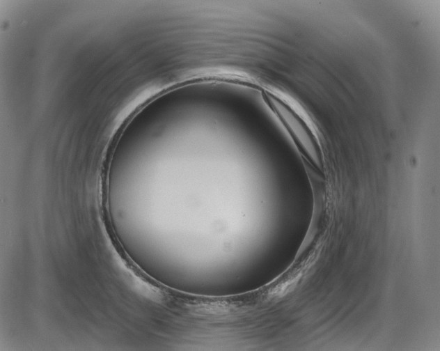 X0000086070999200703301102