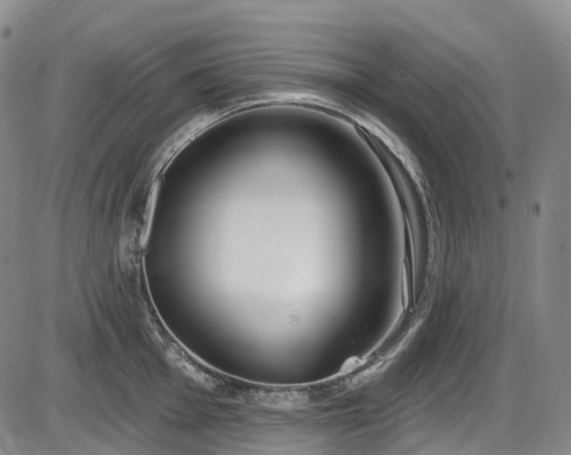 X0000086071001200703301101